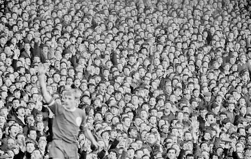 fans