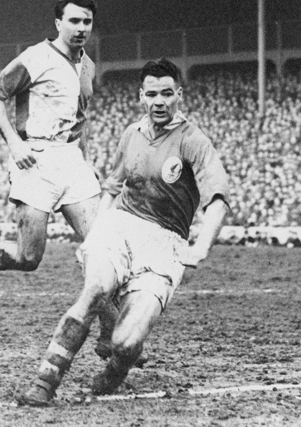 Liddell
